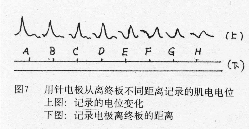 1491442290255517.png 405.1.png