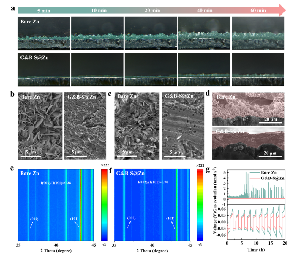QCM-D应用案例:高活性可逆水系锌离子电池动力学-力学耦合界面工程