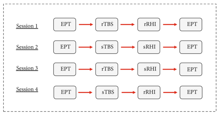 rTMS实验流程 rTMS实验流程